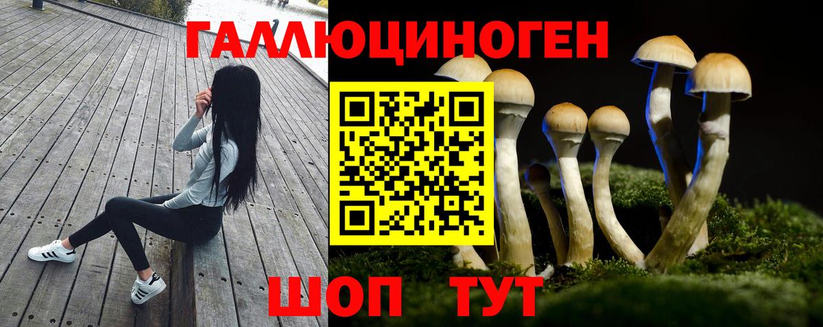 Волжский  Псилоцибиновые грибы Magic Shrooms  дарнет шоп  Вход с VPN 